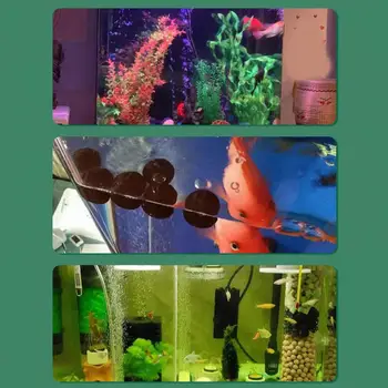 50шт Филтър за аквариум Функционален филтър за аквариум Памук Широко Приложение Избягвайте запушване Биобаллом